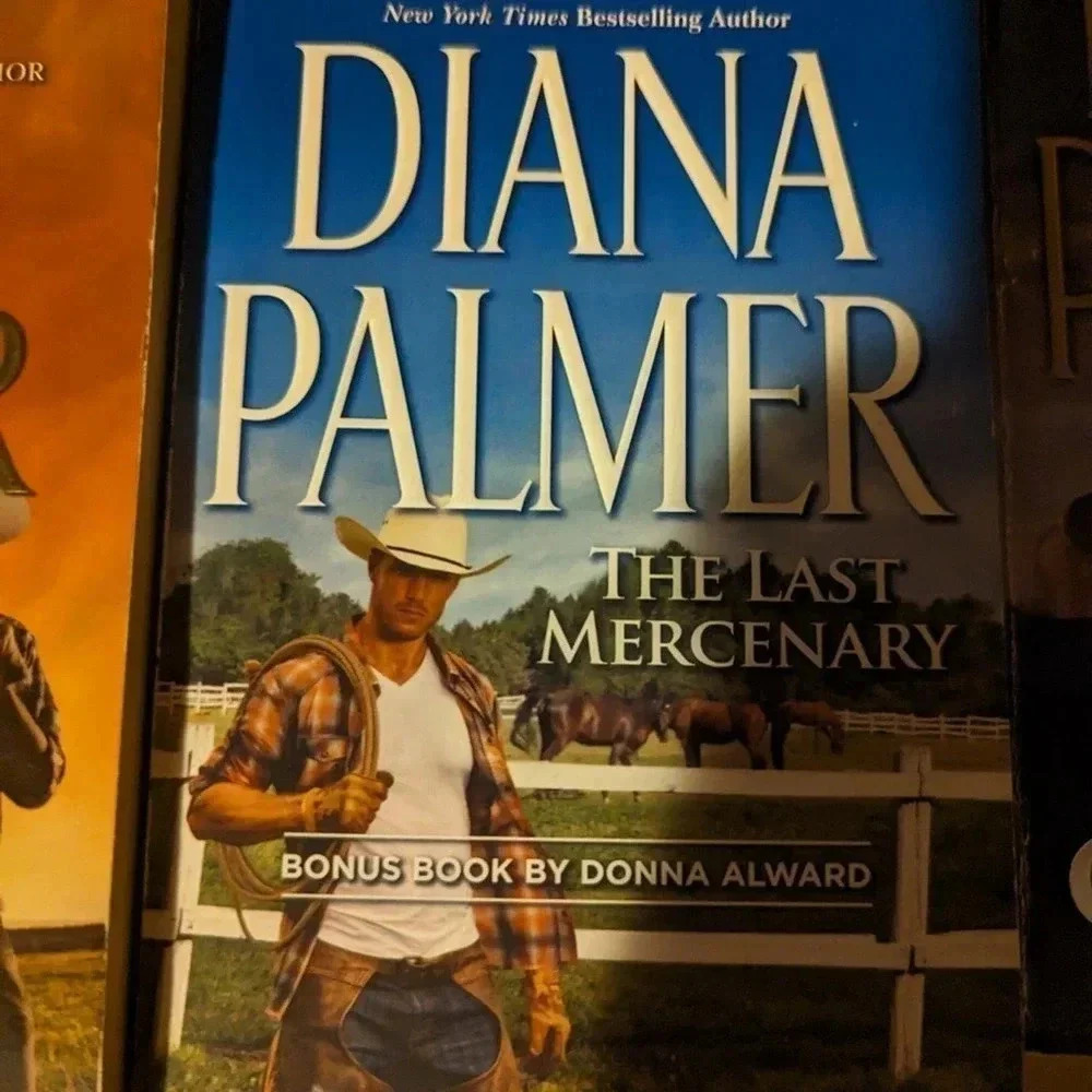 Bundle of Diane Palmer Romance Books - Picture 5 of 5